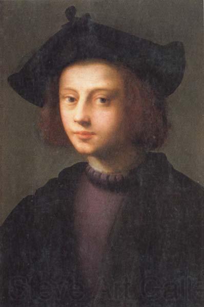 PULIGO, Domenico Portrait of Piero Carnesecchi Norge oil painting art
